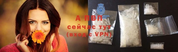 винт Абаза