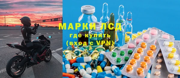 прущий лед Алзамай