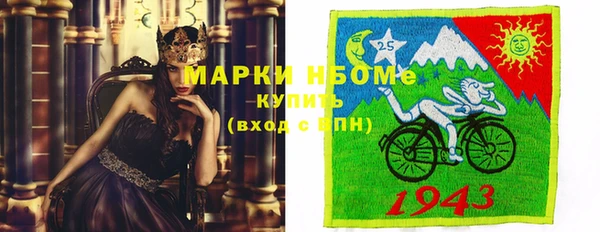 прущий лед Алзамай